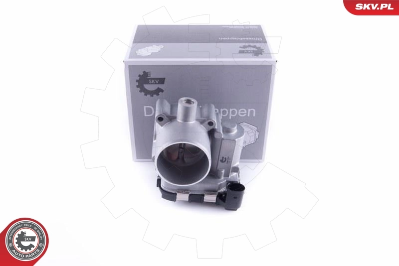 Throttle Body